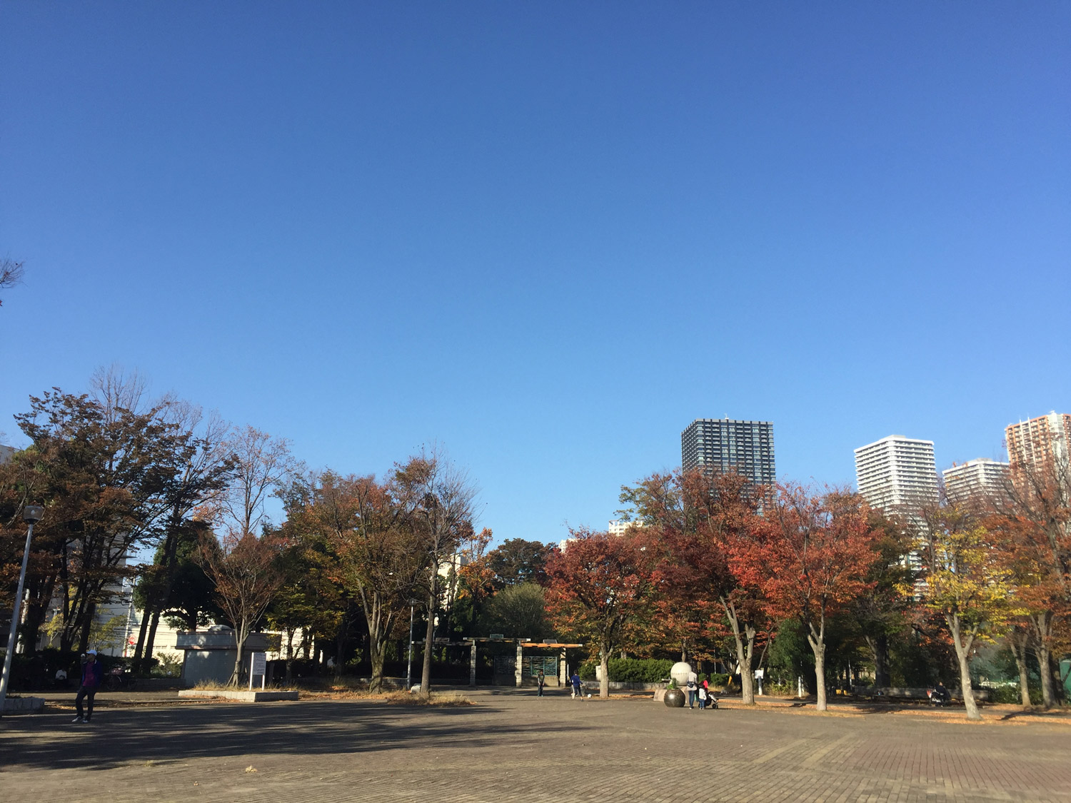 秋色に染まる中原平和公園 新 小杉散歩 新小杉開発株式会社 秋色に染まる中原平和公園 新 小杉散歩 新小杉開発株式会社