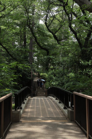 多摩川台公園虹橋